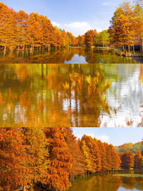 秋天湖景很美怎么描述
