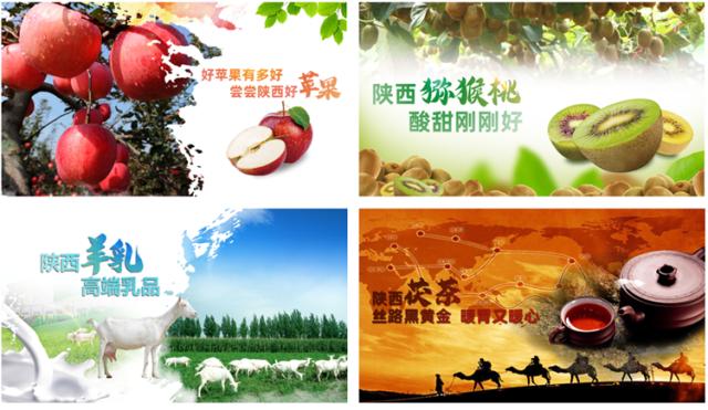 陕西农业宣传语句的相关图片